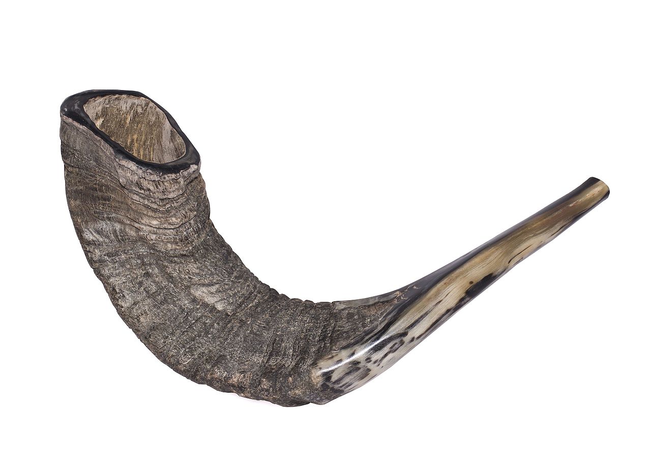 1280x904 Fileshofar Zachi Evenor - Shofar Drawing