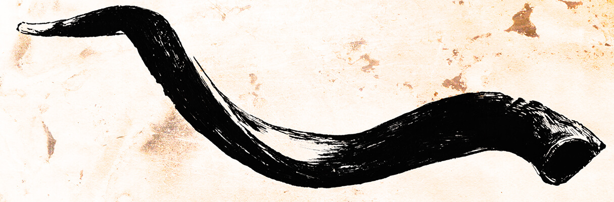 1215x400 Shofar - Shofar Drawing