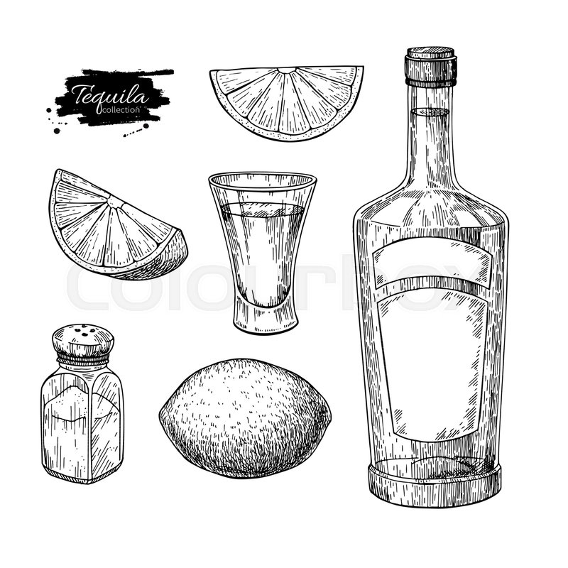 800x800 Tequila Bottle, Salt Shaker And Shot Stock Vector Colourbox - Shot Glass Drawing