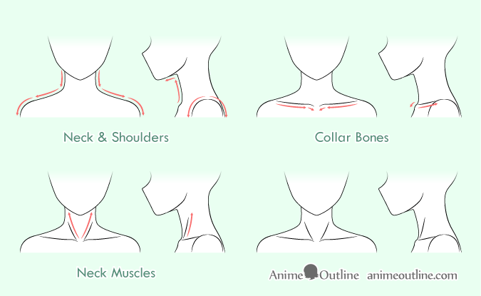 675x415 how to draw anime neck shoulders - Shoulder Drawing