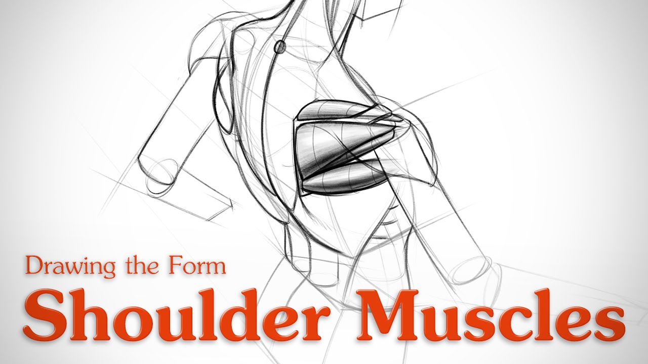 1280x720 how to draw shoulder muscles - Shoulder Drawing