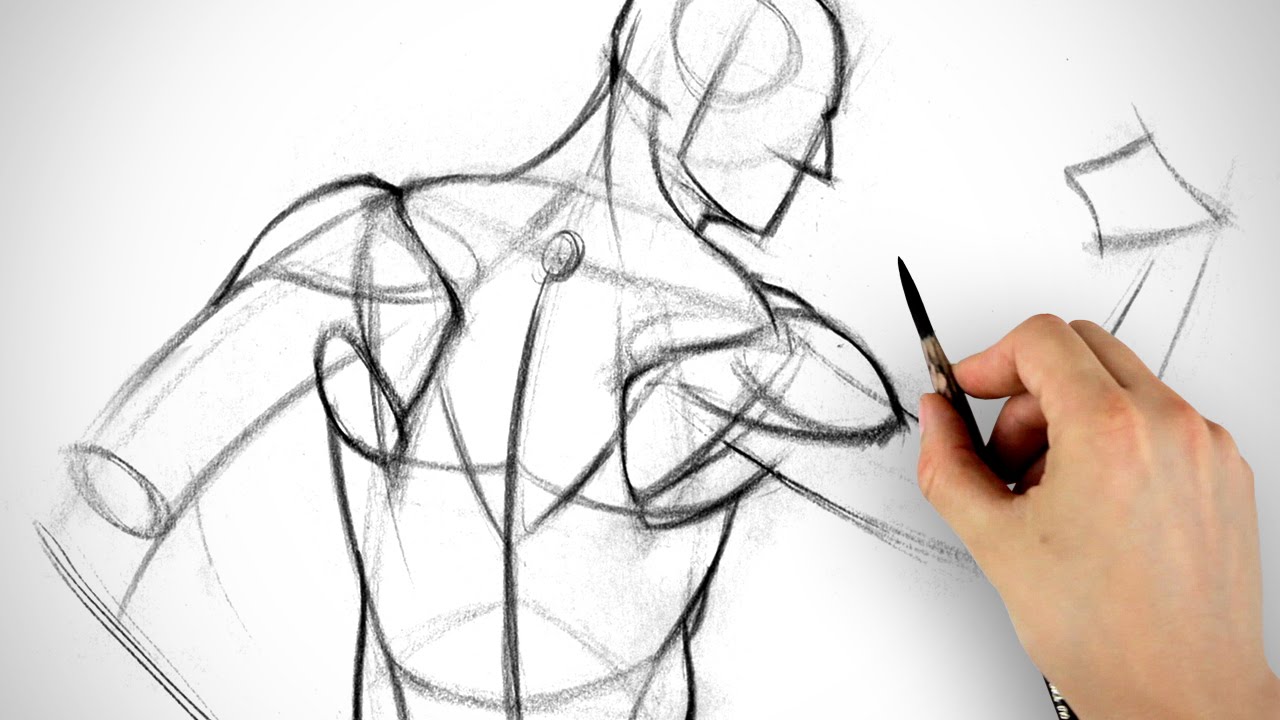 1280x720 inventing the shoulder muscles - Shoulder Drawing