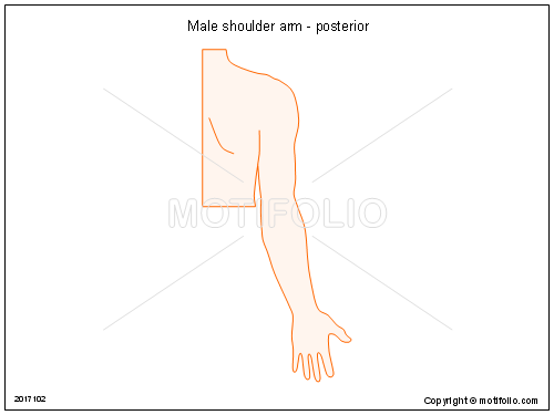 500x375 male shoulder arm - Shoulder Drawing