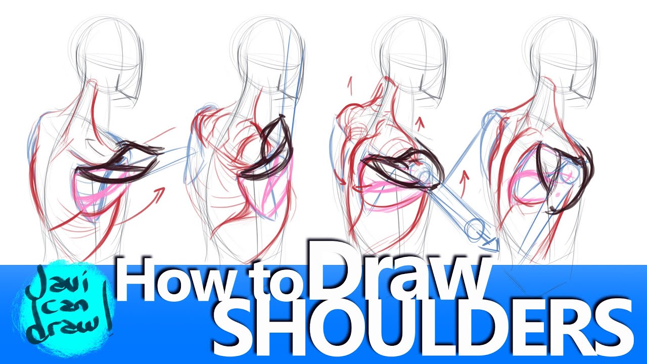 1280x720 shoulder blades are the secret for drawing shoulders! - Shoulder Drawing