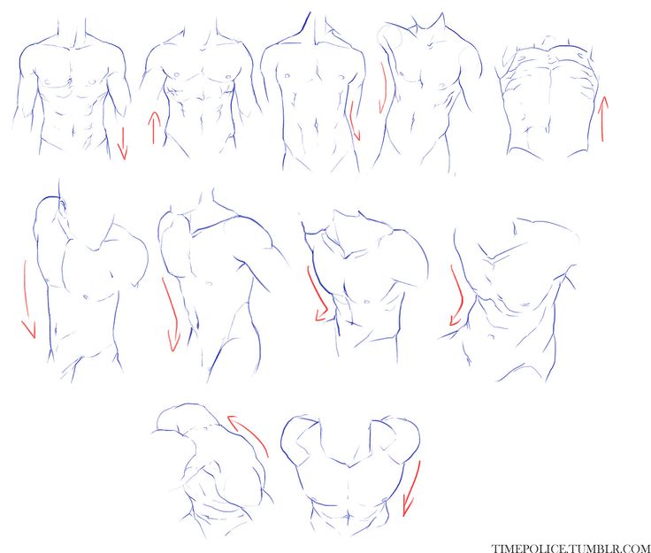 Shoulder Drawing at PaintingValley.com | Explore collection of Shoulder ...