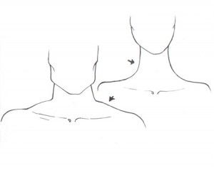 300x246 draw the neck and shoulders drawing tips - Shoulder Drawing