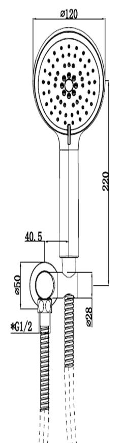 246x871 self cleaning hand shower - Shower Drawing