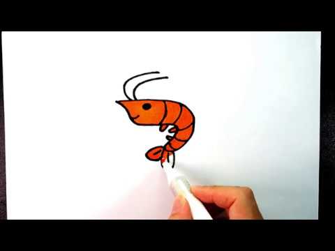 480x360 how to draw shrimp for kids step - Shrimp Cartoon Drawing