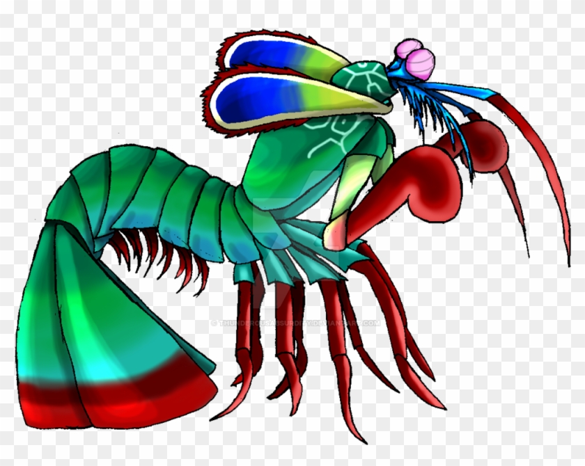840x670 peacock mantis shrimp - Shrimp Cartoon Drawing