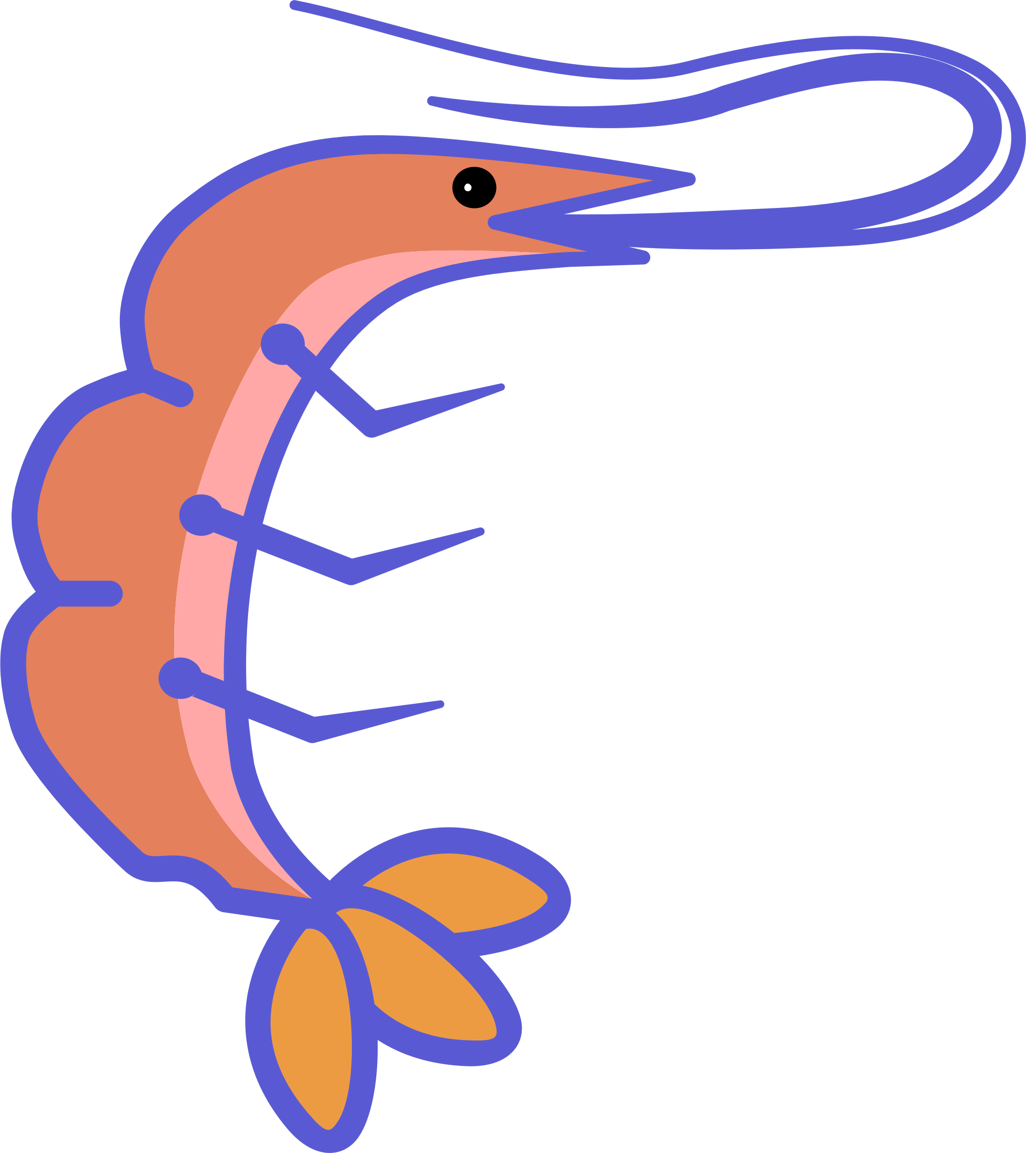 2097x2356 seafood drawing jumbo shrimp transparent png clipart free - Shrimp Cartoon Drawing