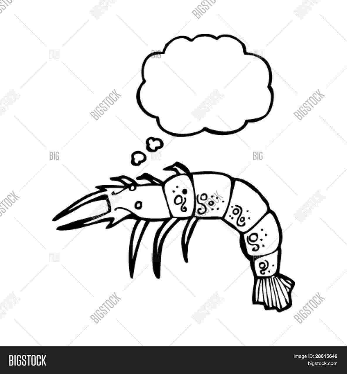 1185x1280 Sea Life Doodles Starfish Horse Jellyfish Fish Rhcom Cute - Shrimp Cartoon Drawing