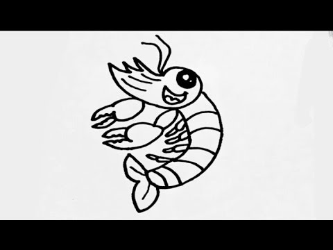 480x360 art lesson how to draw cartoon shrimp step - Shrimp Cartoon Drawing