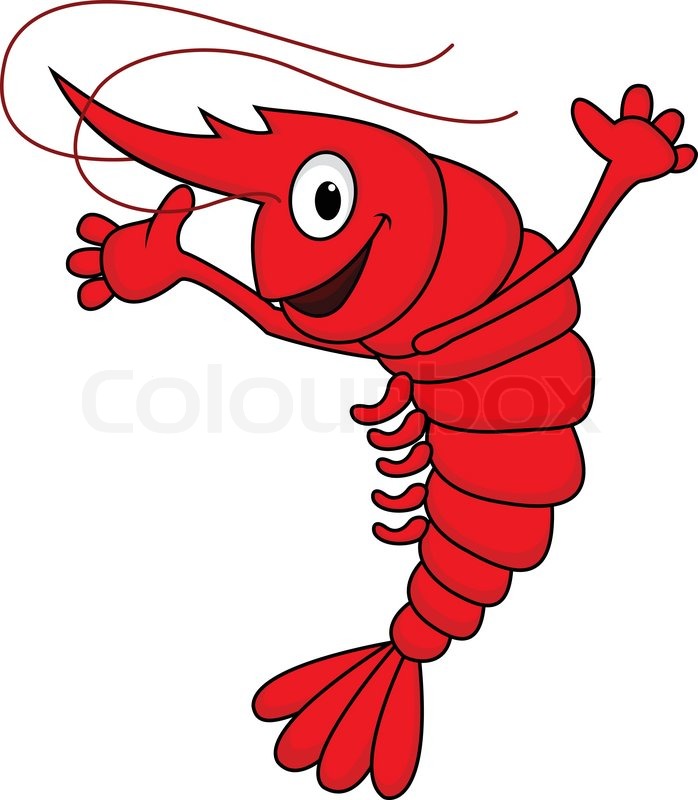 Shrimp Cartoon Drawing at PaintingValley.com | Explore collection of ...