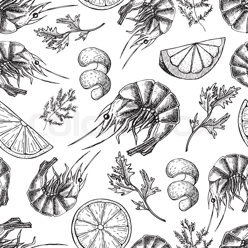 800x800 Shrimp Vector Drawing Seamless Stock Vector Colourbox - Shrimp Drawing