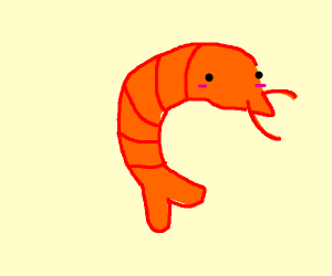 300x250 A Cute Shrimp Drawing - Shrimp Drawing