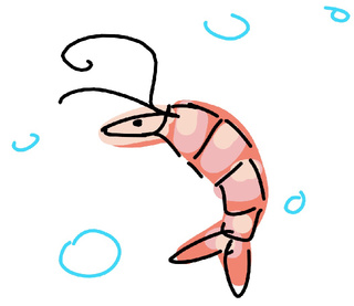 320x277 shrimp drawings on paigeeworld pictures of shrimp - Shrimp Drawing