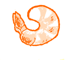 300x250 a big pink jumbo shrimp drawing - Shrimp Drawing