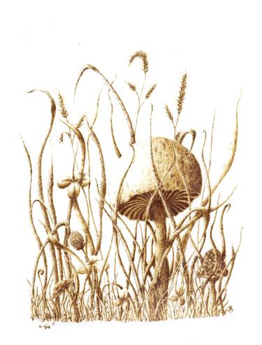 375x493 the very first shroom drawing - Shroom Drawings