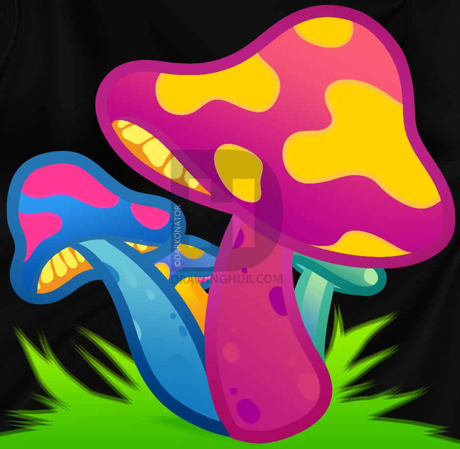 938x915 how to draw shrooms, shrooms, step - Shroom Drawings