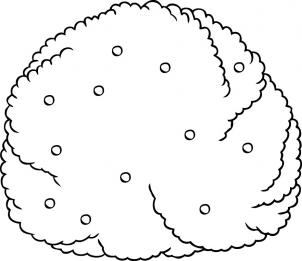 302x261 how to draw how to draw a bush - Shrub Drawing