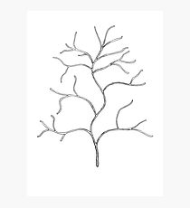 210x230 shrub drawing photographic prints redbubble - Shrub Drawing