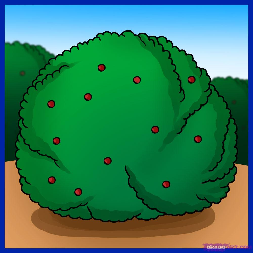 1000x1000 how to draw a bush, step - Shrub Drawing