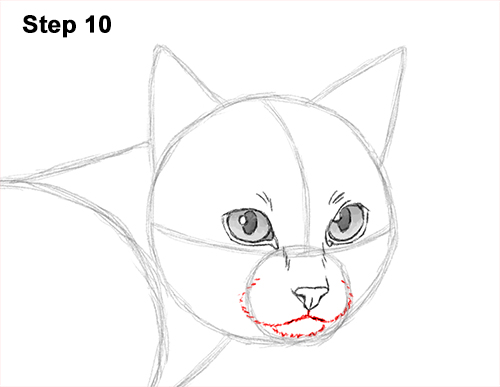 500x387 how to draw a siamese cat - Siamese Cat Drawing
