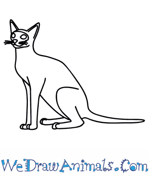 300x350 how to draw a siamese cat - Siamese Cat Drawing