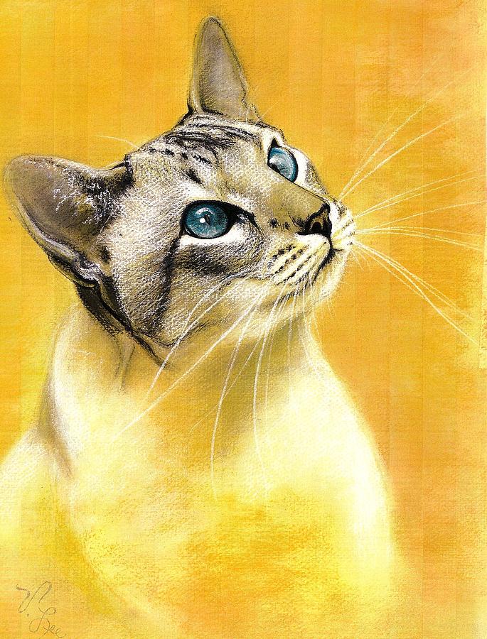 685x900 lynx point siamese drawing - Siamese Cat Drawing