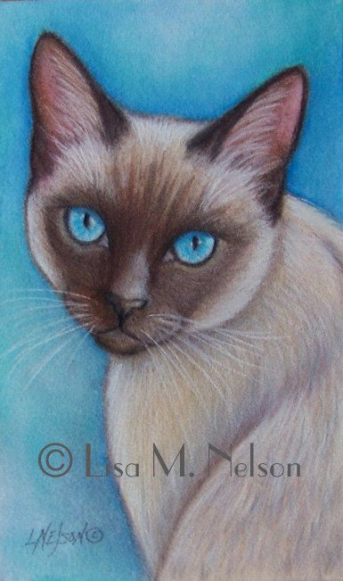 385x651 original siamese cat art colored pencil - Siamese Cat Drawing
