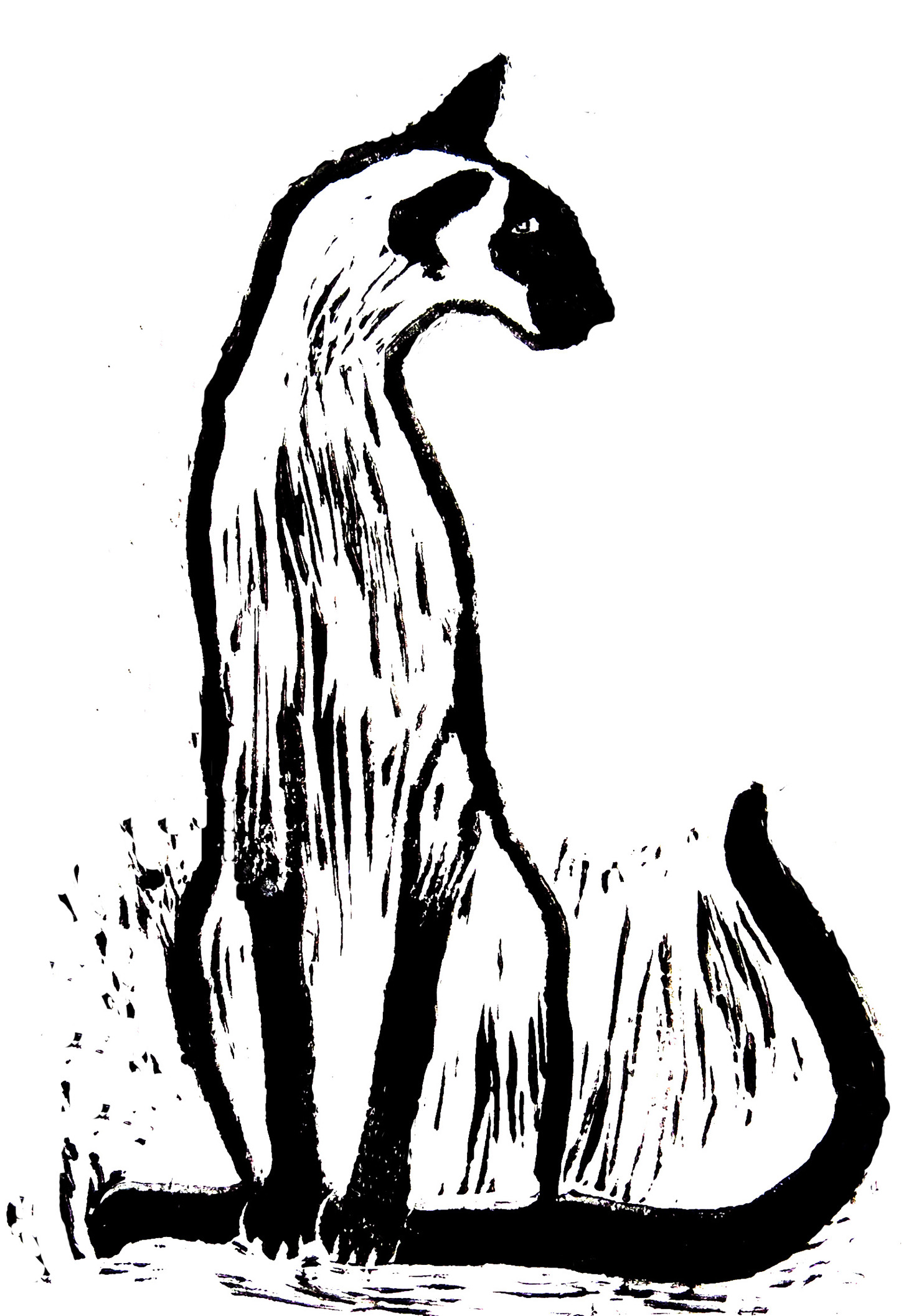 1476x2114 siamese cat sitting - Siamese Cat Drawing