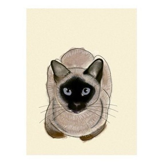 570x570 siamese cat art blue eyes x print of cat drawing etsy - Siamese Cat Drawing