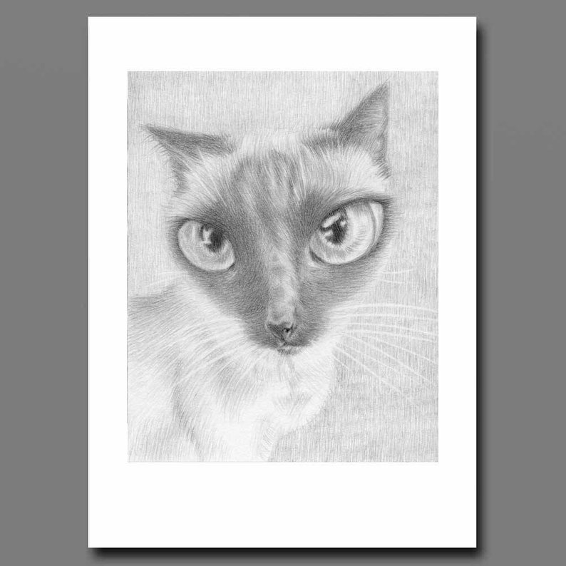 794x794 siamese cat art big eyes print siamese cat drawing blue etsy - Siamese Cat Drawing