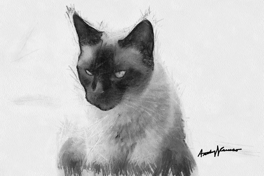 900x598 siamese cat digital art - Siamese Cat Drawing