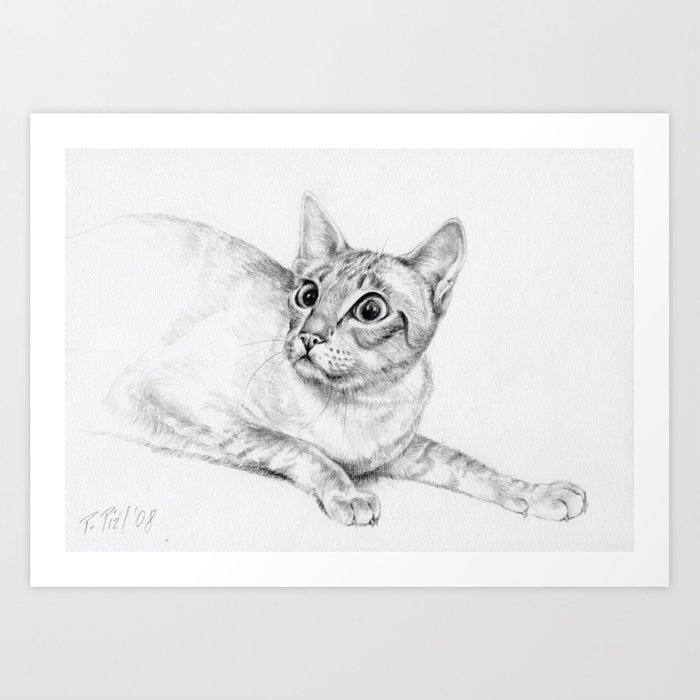 700x700 siamese cat hunting pencil drawing pet illustration decor for cat - Siamese Cat Drawing