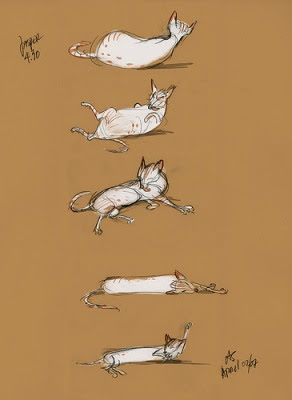 292x400 cat chit chat siamese cat drawing - Siamese Cat Drawing