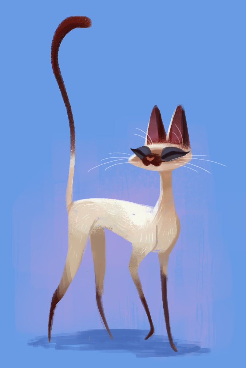 800x1197 daily cat drawings siamese cat cat drawings - Siamese Cat Drawing