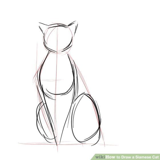 560x560 siamese cat, siamese cat photo puzzle - Siamese Cat Line Drawing