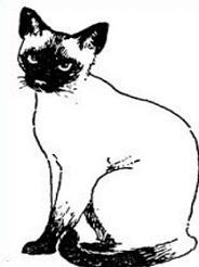 184x246 siamese cat clipart drawing - Siamese Cat Line Drawing