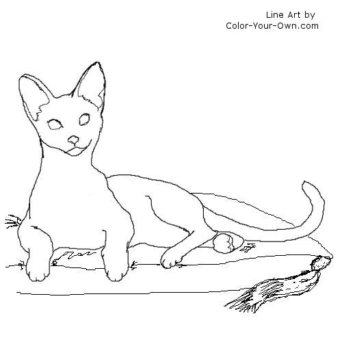 500x500 siamese cat coloring page - Siamese Cat Line Drawing
