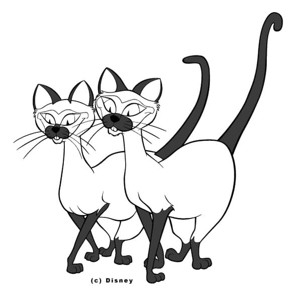 Siamese Cat Coloring Page | Best Cat Wallpaper