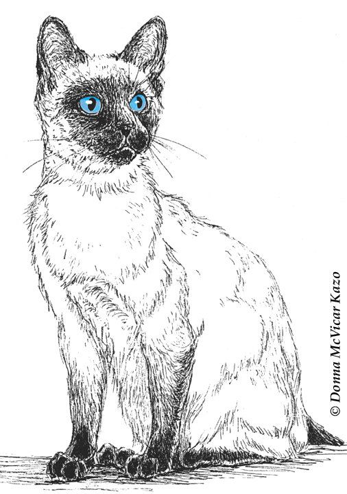 506x719 siamese cat line art print siamese cats siamese cats, cat pen - Siamese Cat Line Drawing