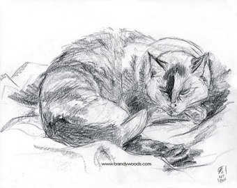 340x270 siamese cat drawing etsy - Siamese Cat Line Drawing