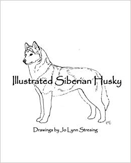 260x325 illustrated siberian husky drawings - Siberian Husky Drawing