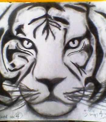348x400 White Siberian Tiger Drawing - Siberian Tiger Drawing