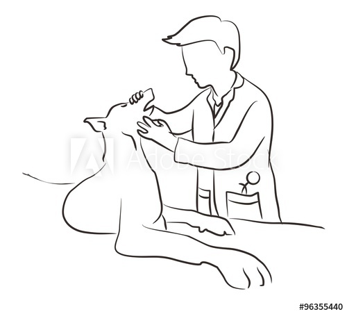 500x452 Veterinarian Checking A Sick Dog - Sick Dog Drawing
