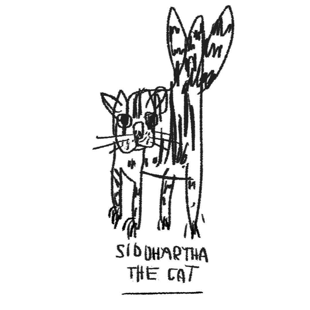 1080x1080 Siddhartha - Siddhartha Drawing