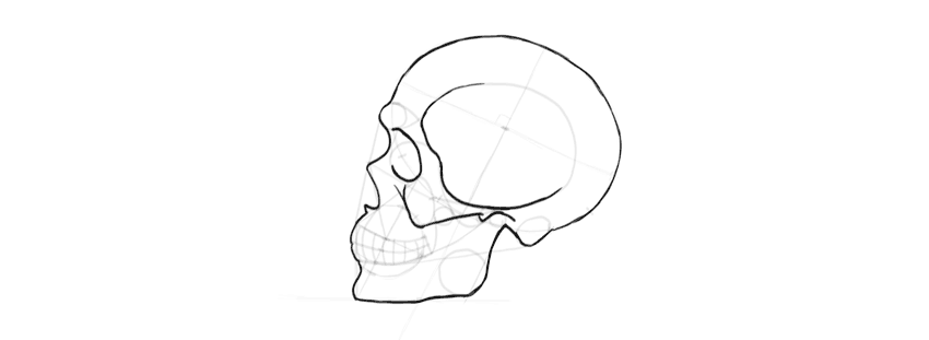 850x311 How To Draw A Skull In Profile, Step - Side Drawing