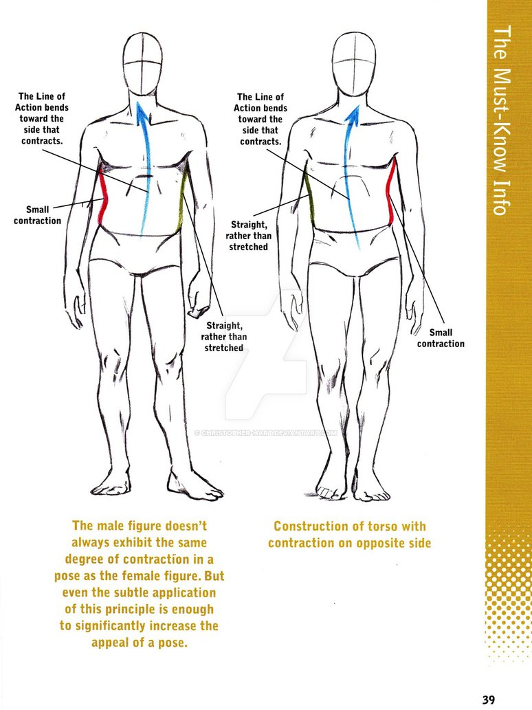 774x1033 Drawing Natural Poses - Side Pose Drawing