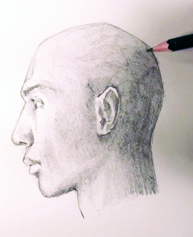 392x481 How To Draw A Face - Side Profile Face Drawing